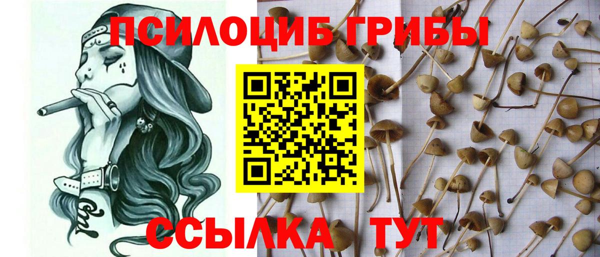 Каменск-Уральский  Галлюциногенные грибы мицелий  Псилоцибиновые грибы прущие грибы  Вход с VPN 